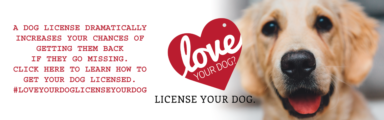 A dog license dramatically increases your chances of getting them back if they go missing.
click here to learn how to get your dog licensed. #LoveYourDogLicenseYourDog